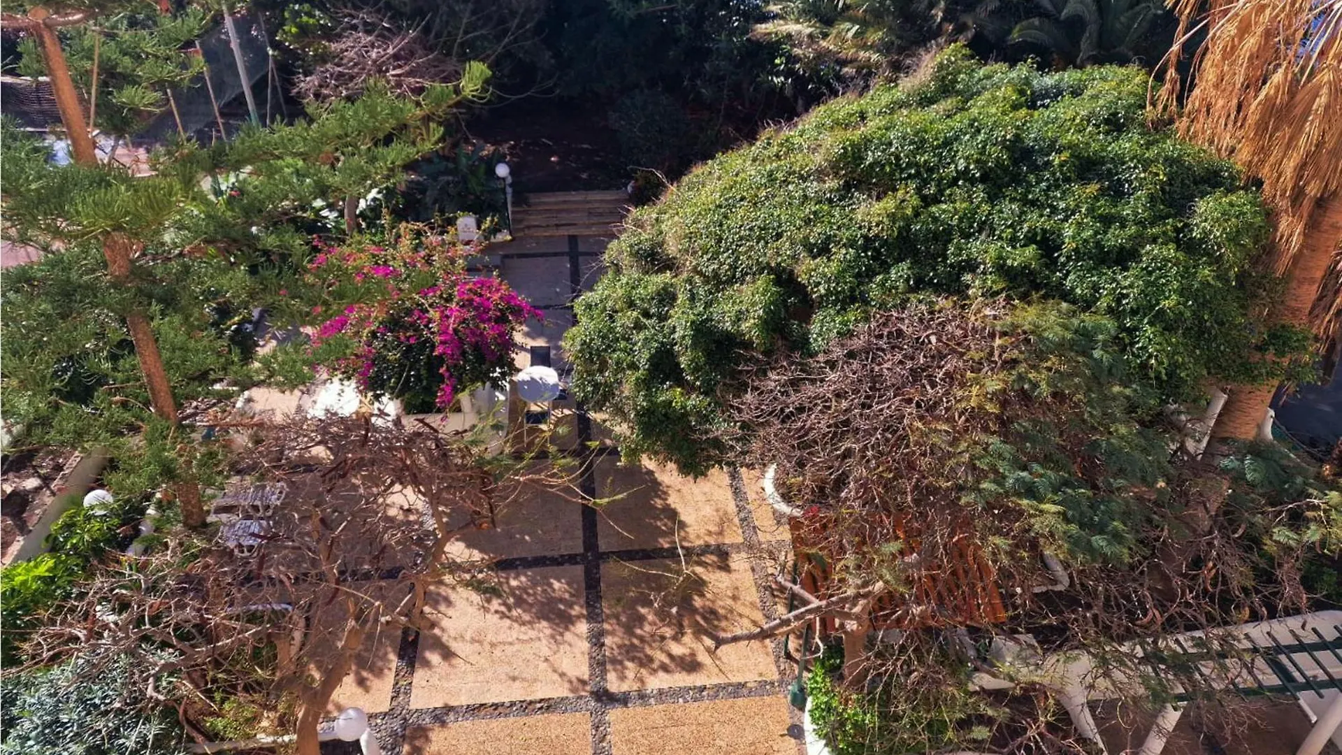 Live Las Gaviotas Ocean Vibe San Andrés 0*,  Espagne